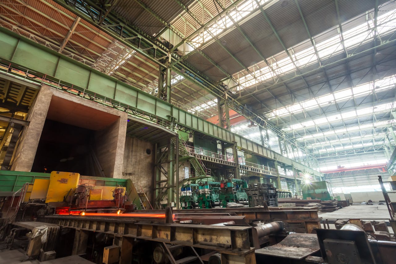 pexels photo 36595736.jpeg