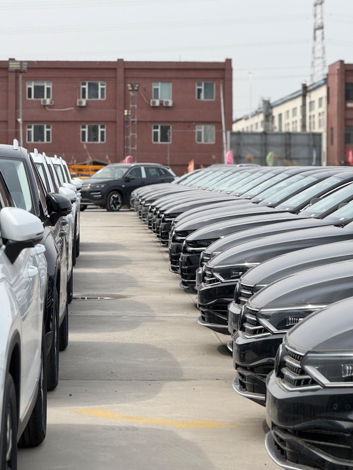 pexels photo 36814641.jpeg